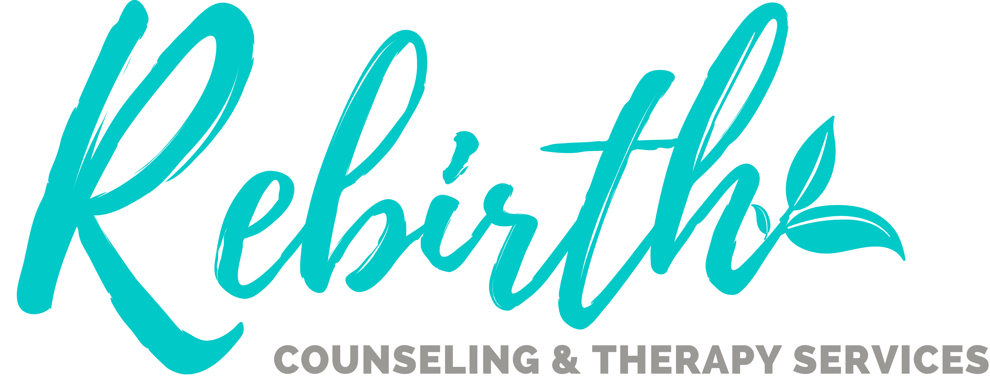 Rebirth Counseling & Therapy Services logo
